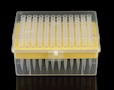 nst_200_µL_clear_filter_pipette_tip_racked_package_312012.JPG